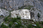 Ortler